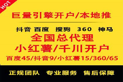 百度SEO与广告结合的多元化推广策略——多行业成功案例